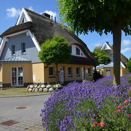 Haus Seebrise Цингст